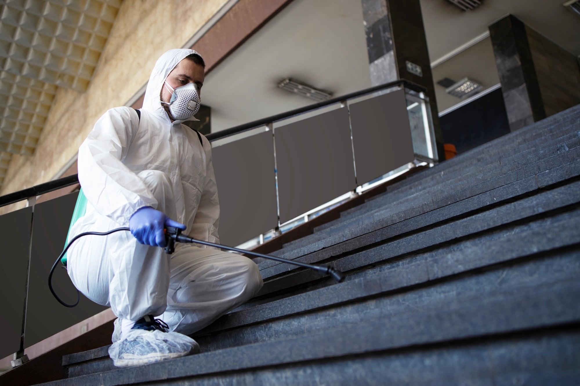 general pest control service